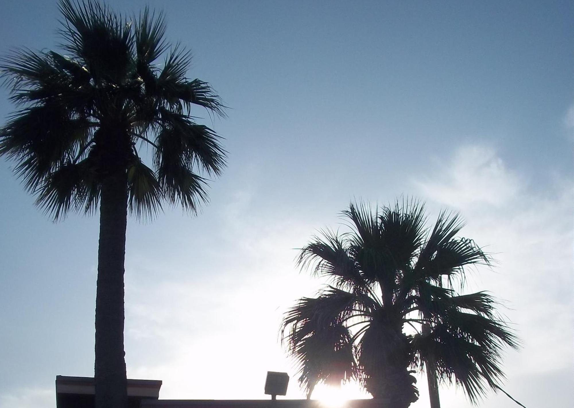 Whispering Palms Inn Del Rio Luaran gambar